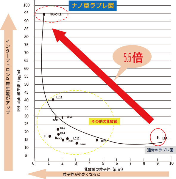 ナノ型ラブレ菌のインターフェロンa産生能は通常のラブレ菌の5.5倍!